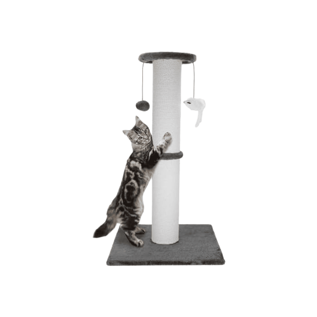 Ahomdoo Cat Scratching Post 34" (Heavy Duty, Grey)