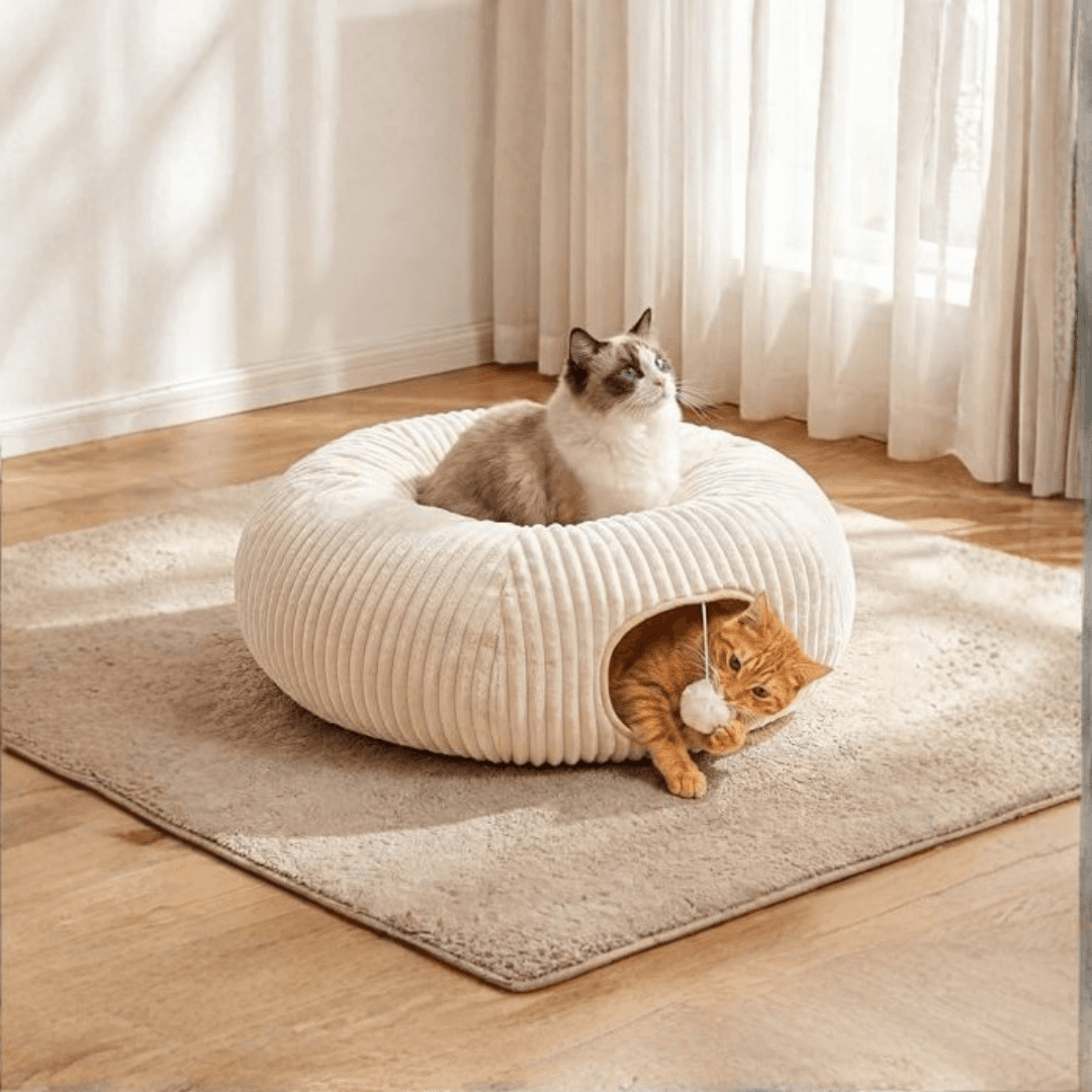 MOYMO Cat Tunnel Bed + 40 Pc Toy Set (White)