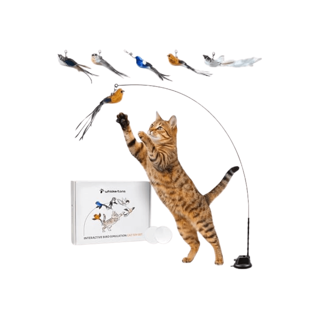 Whiskertons Interactive Bird Simulation Toy Set